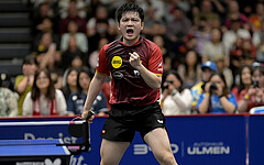 TTBL: Bad königshofen unterliegt Fan Zhendong und Co.