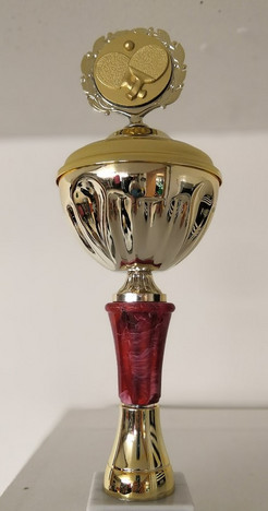 Pokal für Bezirkspokal Jungen