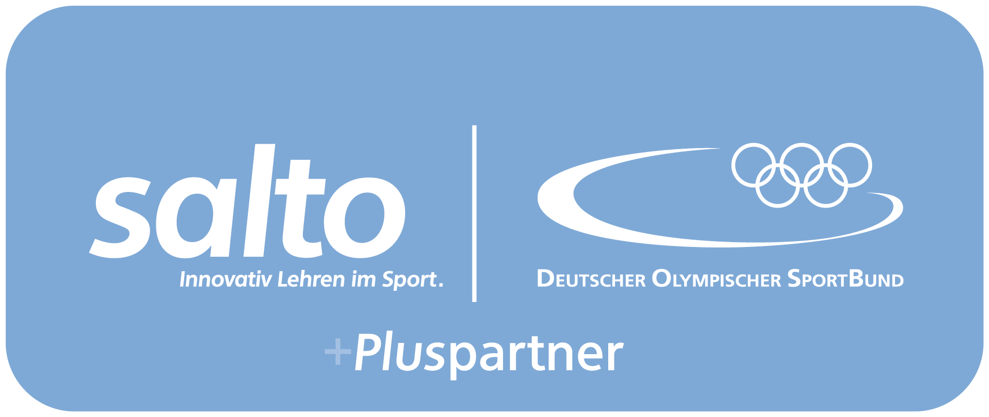 Salto Logo Plus Partner